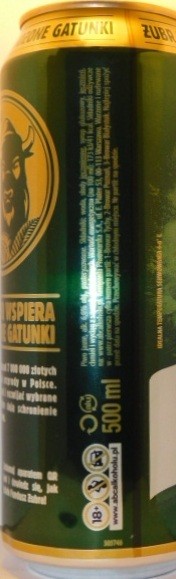 Photo 04
